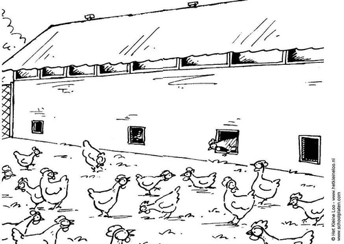 élevage en plein air