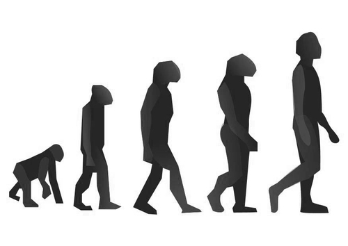 évolution