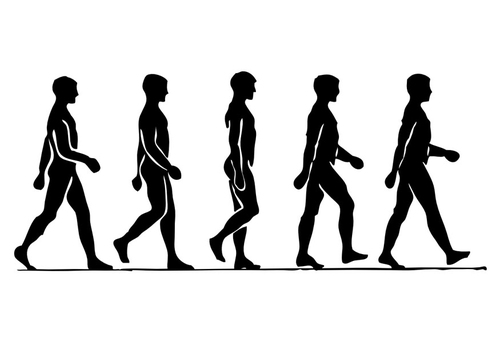 1 a-se promener