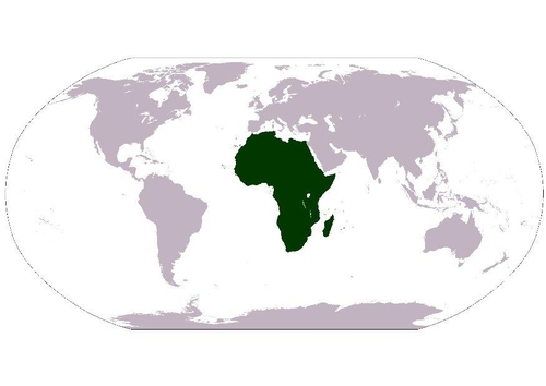Afrique