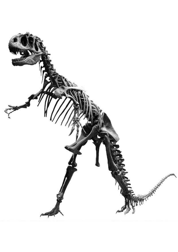 allosaurus