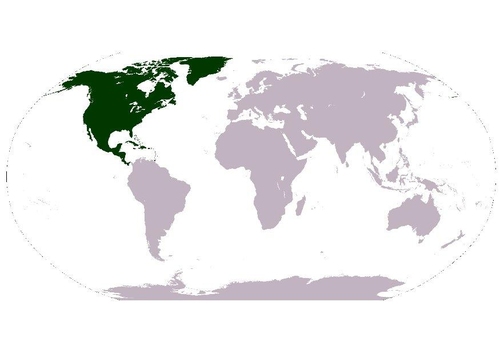Image Amérique du nord