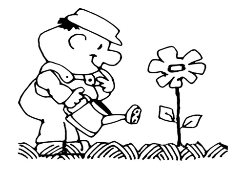 Coloriage arroser les fleurs