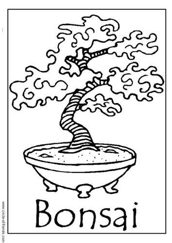 bonsaï