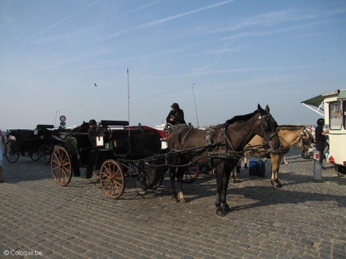 calèche