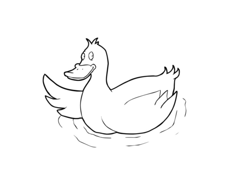 canard