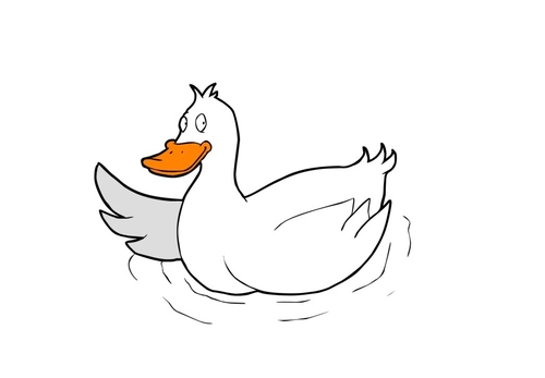 canard