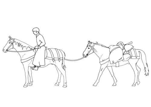 cavalier et bagages