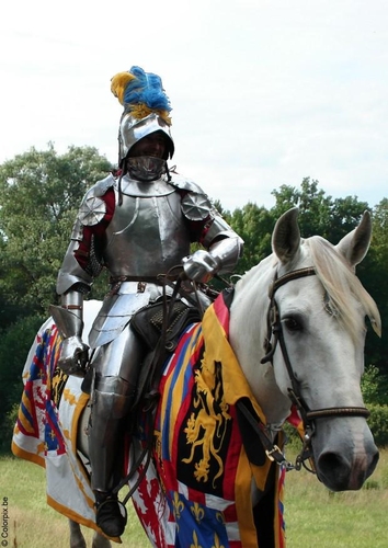 Photo chevalier à cheval