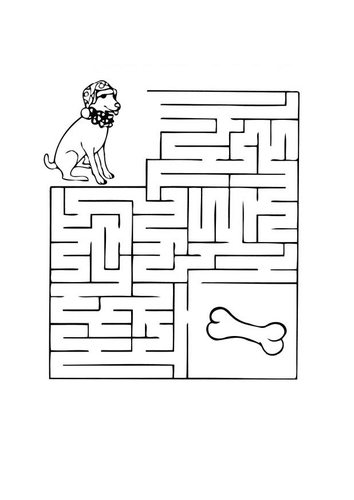 chien labyrinthe