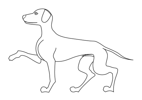 chien