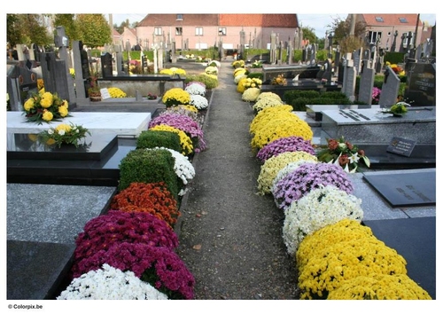 Photo cimetière