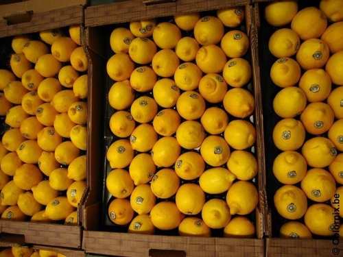 citrons