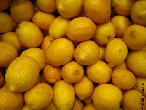citrons