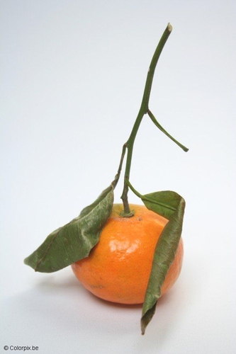 clémentine