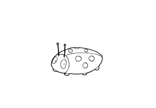 coccinelle