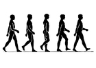 1 a-se promener