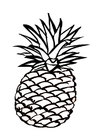 Coloriages ananas