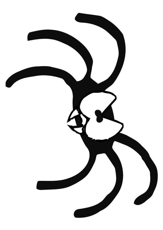 arraignée