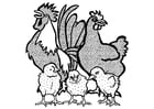 Coloriages Coq, poule et poussins