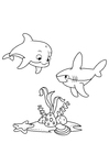Coloriages dauphin et requin