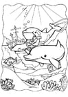 Coloriages dauphins