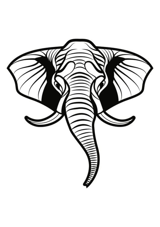 Coloriage éléphant