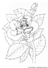 Coloriages elfe