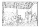 Coloriages étable