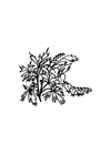 Coloriages fleurs