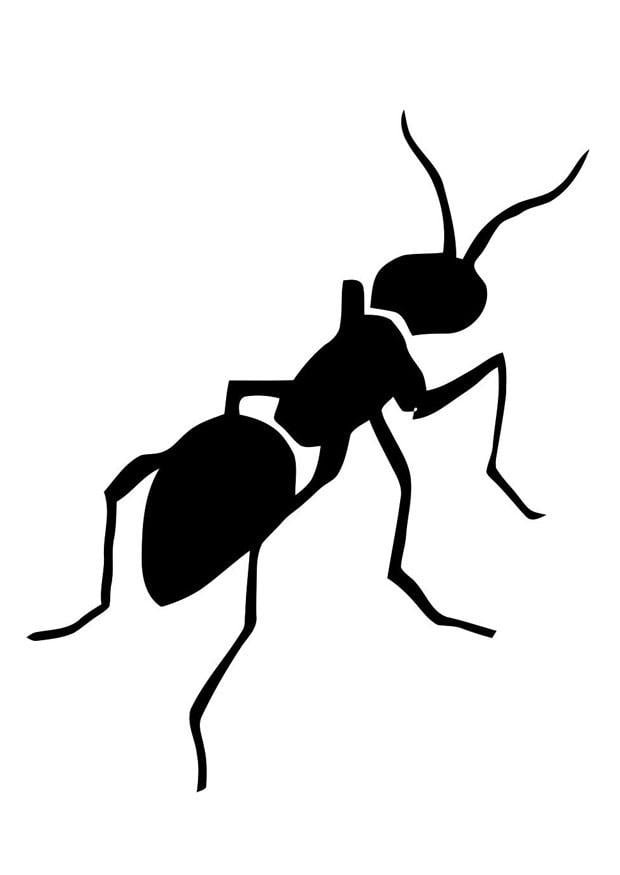 Dessin De Fourmi En Couleur : l illustration de la cigale et la fourmi