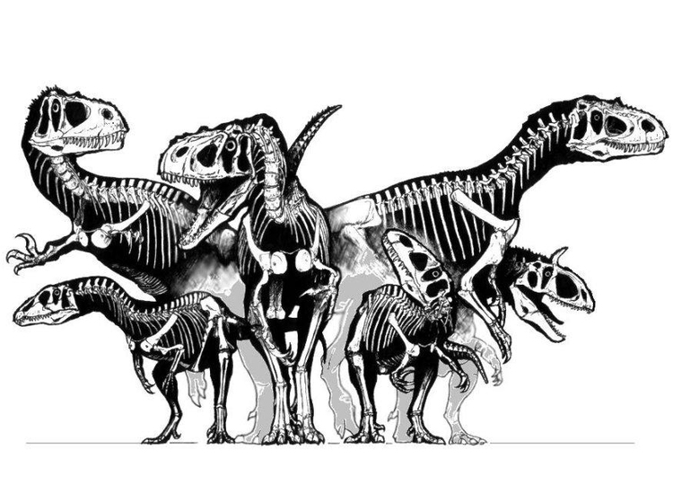 Coloriage groupe de dinosaures - squelettes