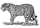 Coloriages jaguar