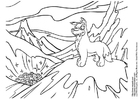 Coloriages Neopets