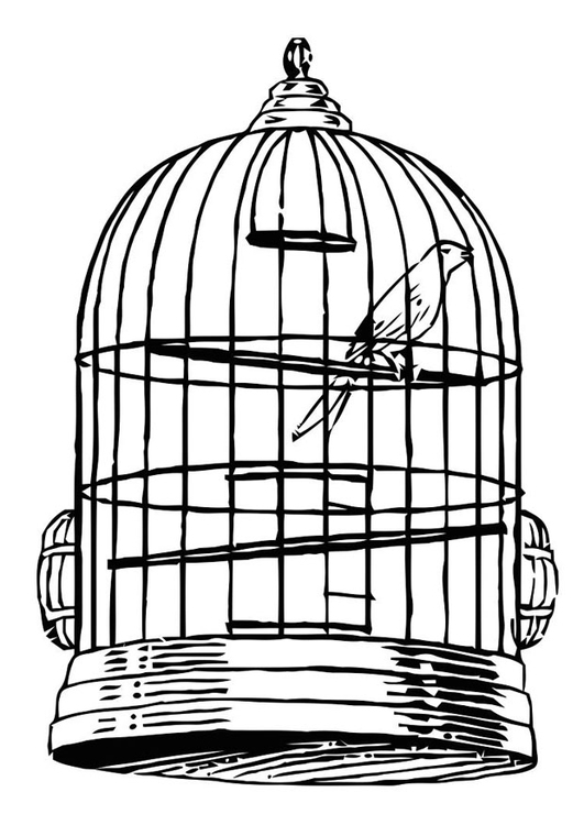 Coloriage oiseau en cage
