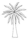 Coloriages palmier