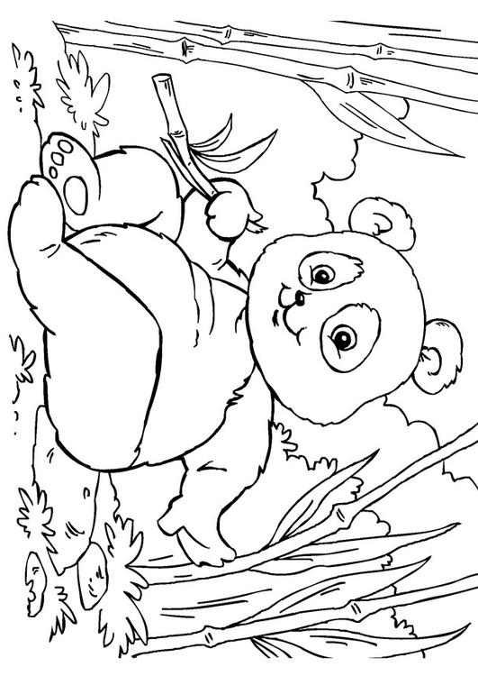 coloriage panda i