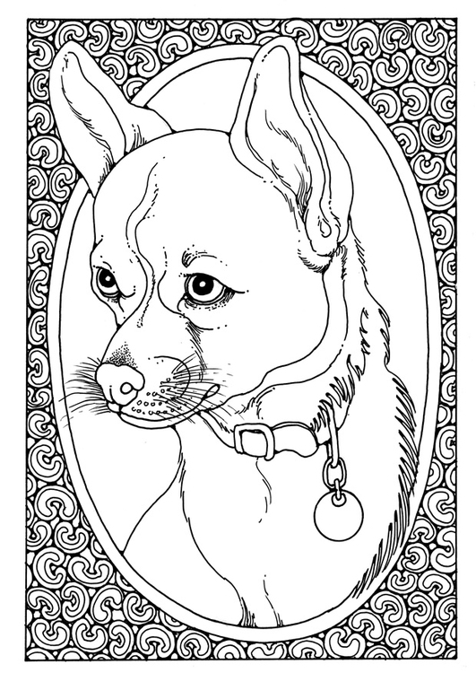 Coloriage portrait de chien