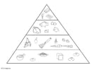 Coloriages pyramide alimentaire