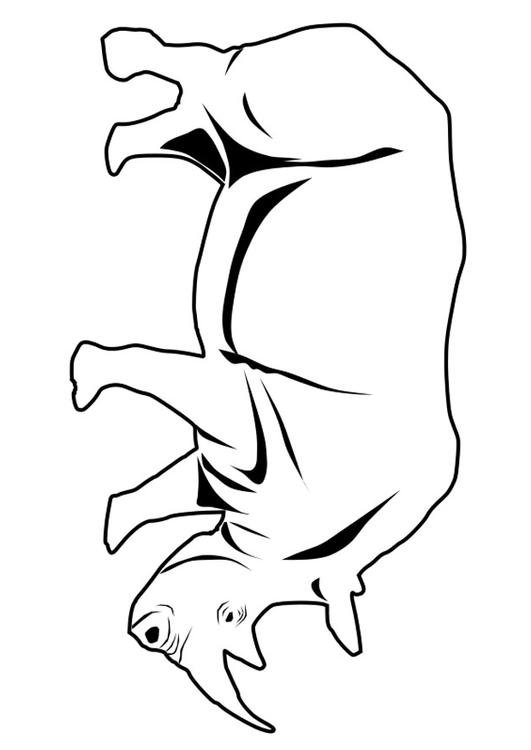 coloriage rhinoceros i
