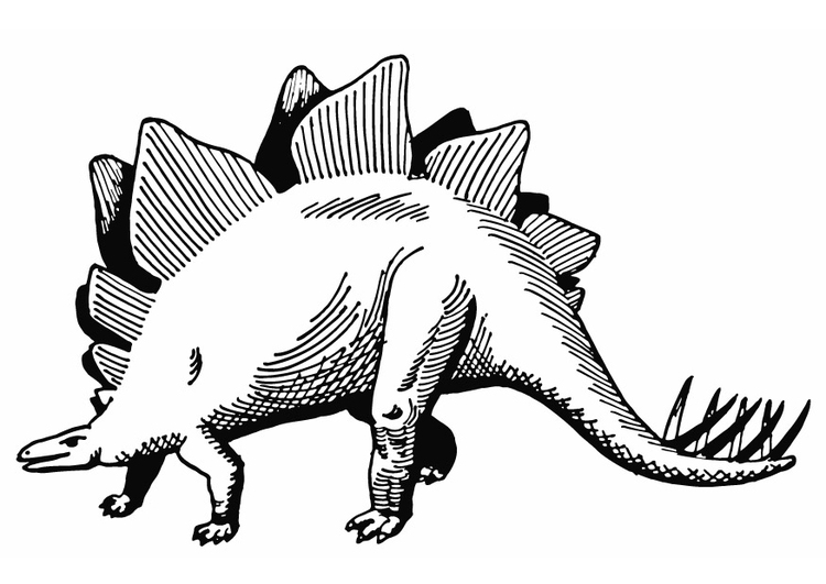 Coloriage stÃ©gosaurus