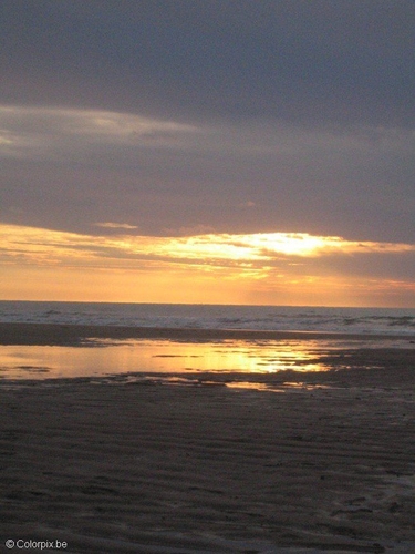 Photo couchée de soleil