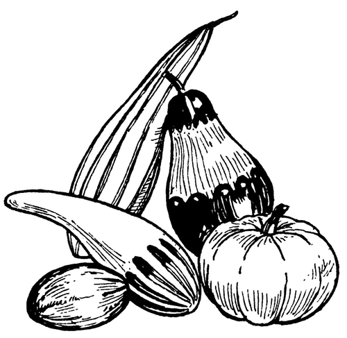 Courges