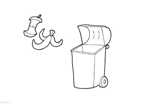 déchets biodégradables
