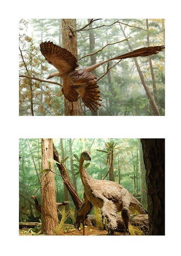 dinosaures à plumes