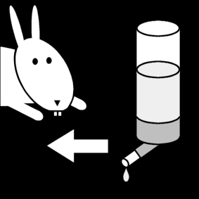 Coloriage donner à boire au lapin