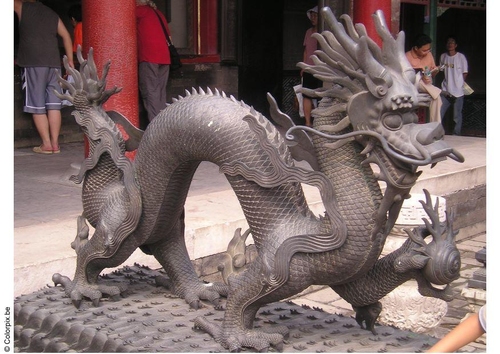 dragonnet - Cité interdite