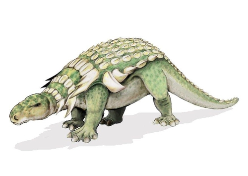 edmontonia