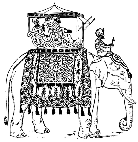 éléphant en Inde