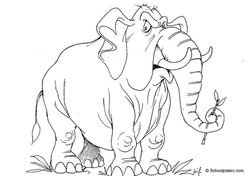 éléphant